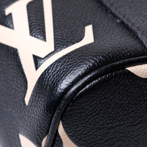 LOUIS VUITTON VANITY PM BLACK/BEIGE CALFSKIN GHW