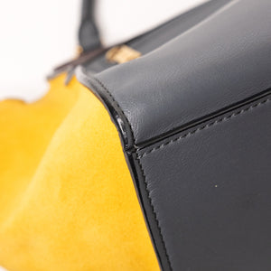 CELINE TRAPEZE BAG MULTICLOUR GHW