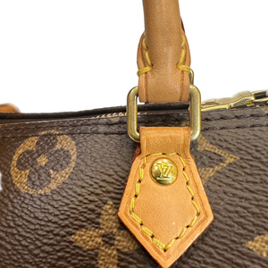 LOUIS VUITTON NANO SPEEDY OLD VERSION M61252