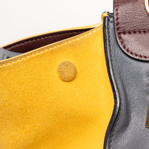 CELINE TRAPEZE BAG MULTICLOUR GHW