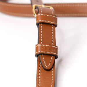 CELINE FLOCO BAG IN TRIOMPHE CANVAS GHW