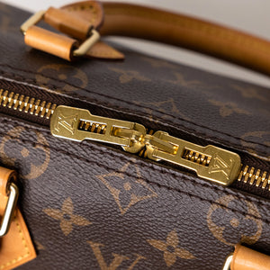LOUIS VUITTON SPEEDY 25 MONOGRAM CANVAS (MICROCHIP)