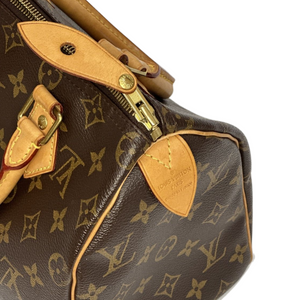 LOUIS VUITTON SPEEDY 25 M41528