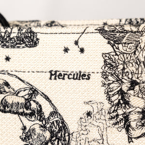 DIOR MEDIUM BOOK TOTE TOILE DE JOUY ZODIAC EMBROIDERY