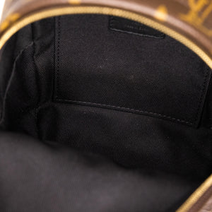 LOUIS VUITTON PALM SPRING MINI BACKPACK MONOGRAM CANVAS