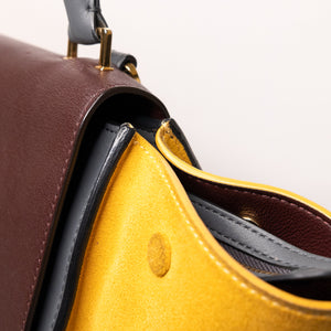 CELINE TRAPEZE BAG MULTICLOUR GHW