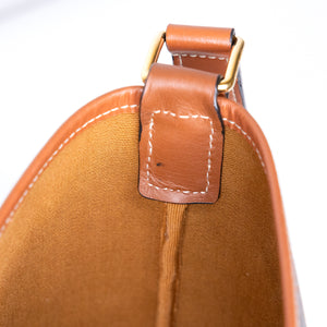 CELINE MEDIUM BUCKET IN TRIOMPHE CANVAS AND CALF SKIN BAG