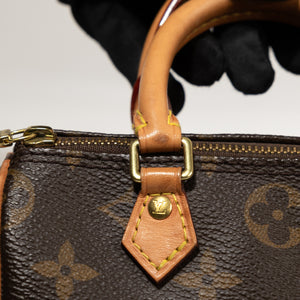 LOUIS VUITTON NANO SPEEDY MONOGRAM CANVAS