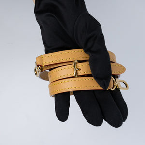 LOUIS VUITTON MINI BUMBAG MONOGRAM CANVAS GHW