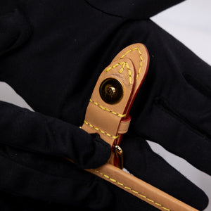 LOUIS VUITTON DIANE MONOGRAM CANVAS BAG WITH JACQUARD STRAP