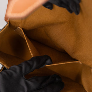 CELINE FLOCO BAG IN TRIOMPHE CANVAS GHW