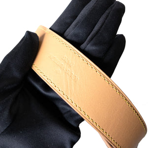 LOUIS VUITTON CARRYALL PM