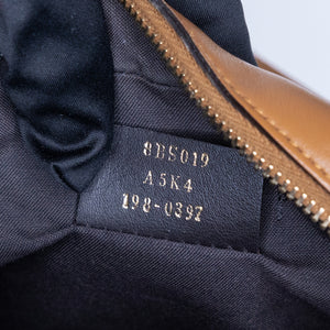 FENDI CAMERA CROSSBODY BAG BROWN GHW