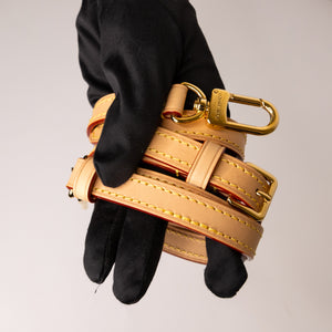 LOUIS VUITTON NANO SPEEDY DENIM