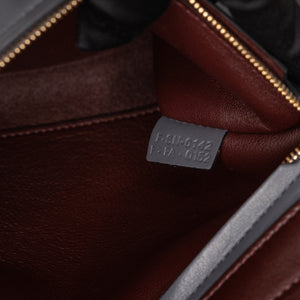 CELINE TRAPEZE BAG MULTICLOUR GHW