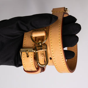 LOUIS VUITTON SPEEDY 25 MONOGRAM CANVAS (MICROCHIP)