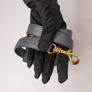 CELINE TRAPEZE BAG MULTICLOUR GHW