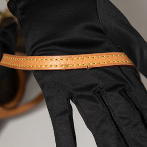 LOUIS VUITTON NANO SPEEDY MONOGRAM CANVAS