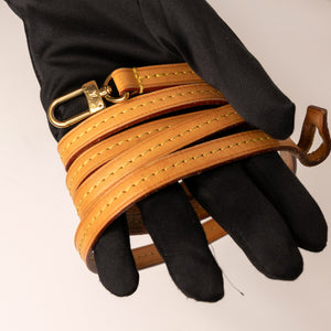 LOUIS VUITTON FAVORITE MM MONOGRAM CANVAS