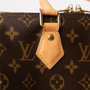 LOUIS VUITTON SPEEDY 25 MONOGRAM CANVAS (MICROCHIP)