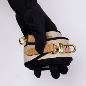 LOUIS VUITTON DIANE MONOGRAM CANVAS BAG WITH JACQUARD STRAP