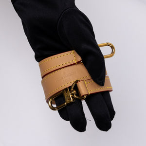 LOUIS VUITTON DIANE MONOGRAM CANVAS BAG WITH JACQUARD STRAP