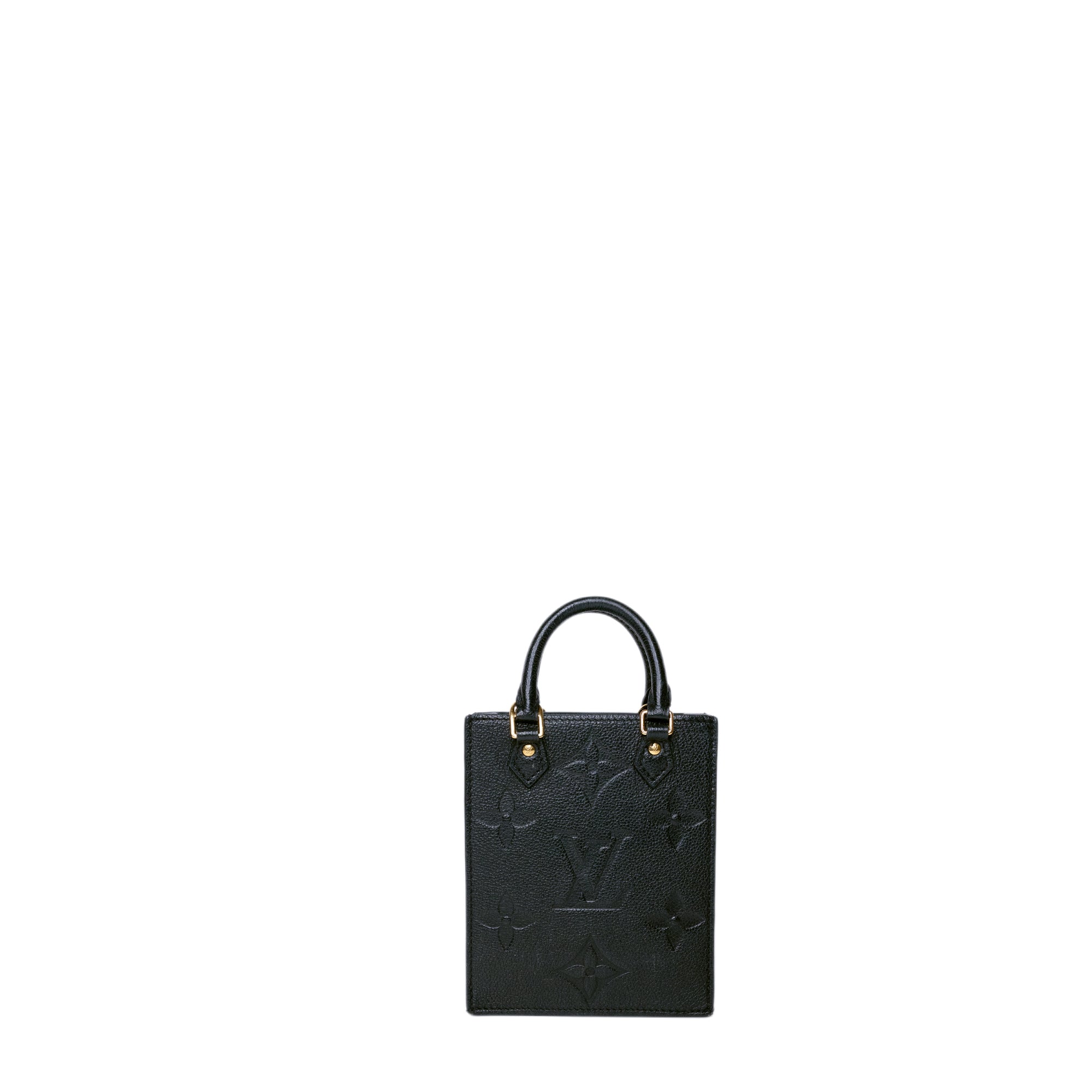 LOUIS VUITTON PETIT SAC PLATE 2 WAY HANDBAG