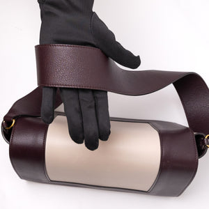 CELINE FRAME BAG CALFSKIN BROWN / WHITE GHW