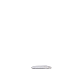 CHANEL CARD HOLDER SILVER