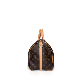 LOUIS VUITTON SPEEDY 30 MONOGRAM CANVAS