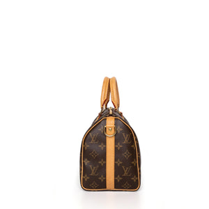 LOUIS VUITTON SPEEDY 25 MONOGRAM CANVAS (MICROCHIP)