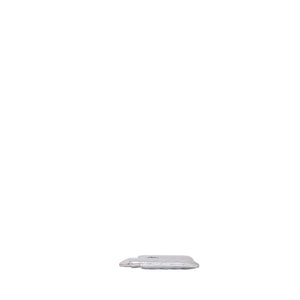 CHANEL CARD HOLDER SILVER