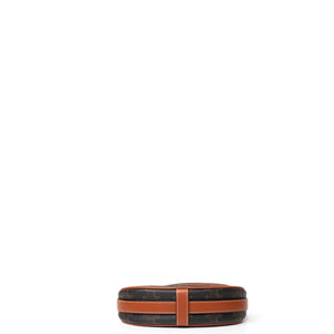 CELINE MINI AVA BAG WITH TRIOMPHE CANVAS GHW