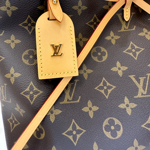 LOUIS VUITTON CARRYALL PM M46203