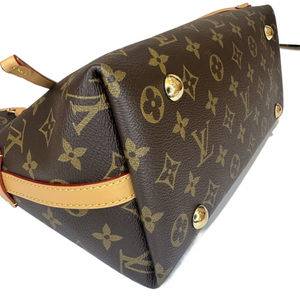 LOUIS VUITTON CARRYALL PM M46203