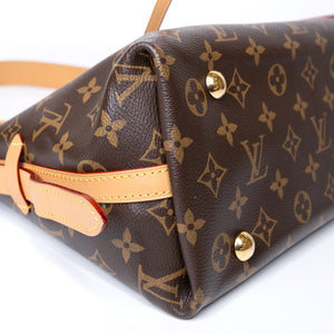 LOUIS VUITTON CARRYALL PM