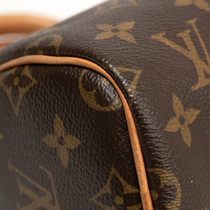 LOUIS VUITTON NANO SPEEDY MONOGRAM CANVAS