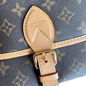 LOUIS VUITTON DIANE MONOGRAM CANVAS BAG WITH JACQUARD STRAP